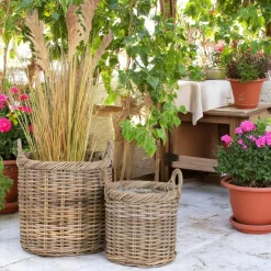 Cache-pot haut pour plantes ou graminées (lot de 2)