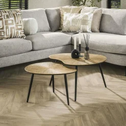 Table basse organique, feuille de ginkgo stylisée (lot de 2) RALF