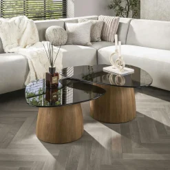 Tables salon verre fumé design triangle (lot de 2) MILOS