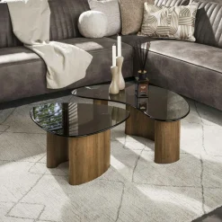Tables salon verre fumé, design organique (lot de 2) MILOS